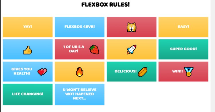 FLEXBOX RULES