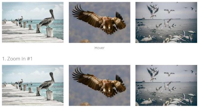 HTML CSS image hover effects